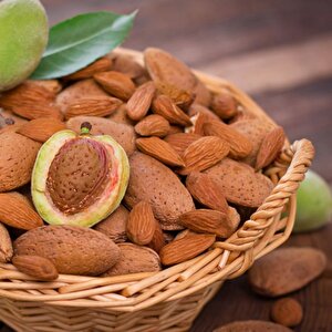 Tüplü Kendine Verimli Yarı Bodur Marta Badem Fidanı