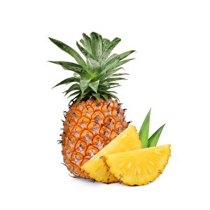 Tüplü Nadir Bulunan Ananas Fidanı