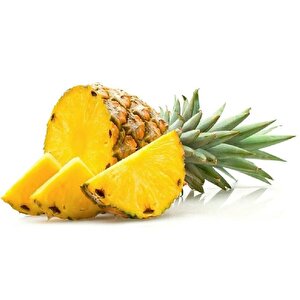 Tüplü Nadir Bulunan Ananas Fidanı