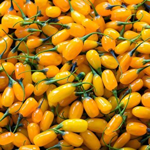 Amber Sweet Altuni Sarı Goji Berry Fidanı