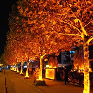 18watt Solar Çim / Bahçe Aydınlatma Armatürü (amber Işık)