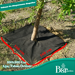 Ağaç Taban Örtüsü 160x160 5 Adet Bsr Garden