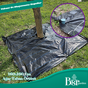 Ağaç Taban Örtüsü 160x160 5 Adet Bsr Garden