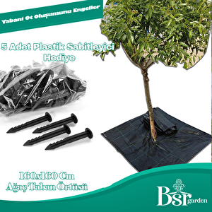 Ağaç Taban Örtüsü 160x160 5 Adet Bsr Garden