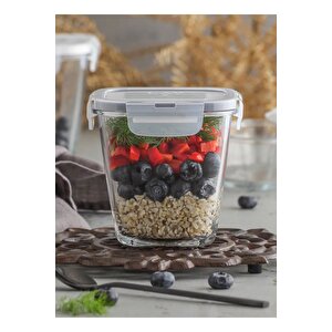 Fresco Saklama Kabı - Lav 4 Lü Çok Amaçlı Erzak Saklama Kabı 700 Ml.
