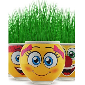 Çim Adam Orijinal 1 Adet Lisanslı Eğlenceli Sevimli Ürün Emojili Çimoji Oyuncaklar