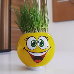 Çim Adam Orijinal 1 Adet Lisanslı Eğlenceli Sevimli Ürün Emojili Çimoji Oyuncaklar