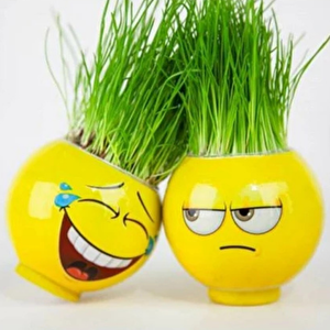 Çim Adam Orijinal 1 Adet Lisanslı Eğlenceli Sevimli Ürün Emojili Çimoji Oyuncaklar