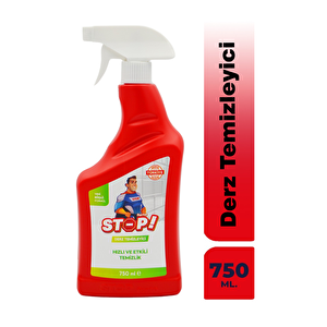 Derz Temizleyici 750 ml