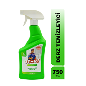 Derz Temizleyici 750 ml