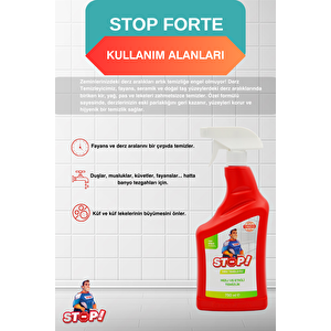 Derz Temizleyici 750 ml