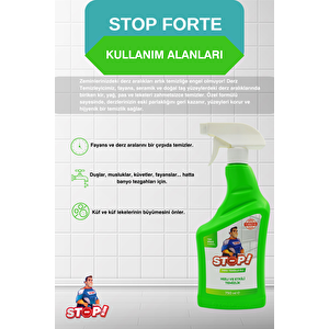 Derz Temizleyici 750 ml