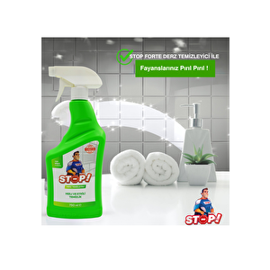 Derz Temizleyici 750 ml