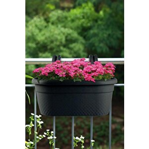 Krs-350 Dekoratif Plastik İnci Askılı Balkon Saksı 6.2 Litre Antrasit