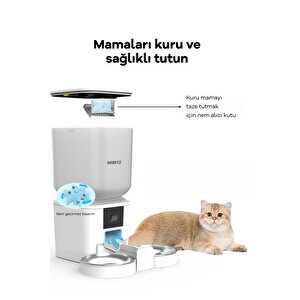 Kameralı Ve Ses Kontrollü 7 Litre Akıllı Mama Kabı
