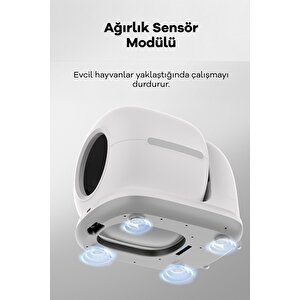 Akıllı Otomatik Kedi Tuvaleti