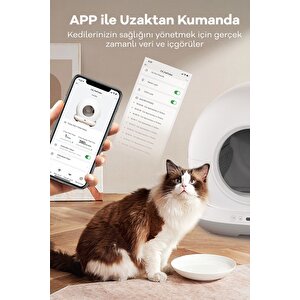 Akıllı Otomatik Kedi Tuvaleti