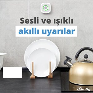 Shelly Gas Akıllı Cng Gaz Dedektörü