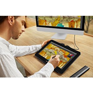 Xp-pen Artist Pro 16tp Grafik Ekran Tablet