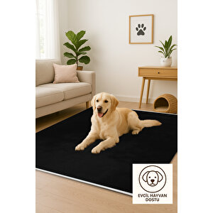 Tek Renk Siyah Salon Halısı Kaymaz Taban 160x230