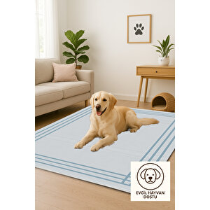Minimal Buz Mavi Salon Halısı Kaymaz Taban 160x230 Cm