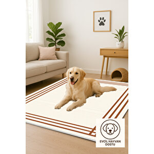 Modern Çizgili Krem Kahve Yıkanabilir Halı 160x230 Cm