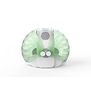 Yasomi Drypet Wb102 Evcil Hayvan Kurutma Makinesi (yeşil)