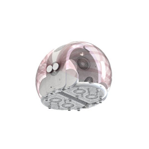 Drypet Wb102 Evcil Hayvan Kurutma Makinesi (pembe)