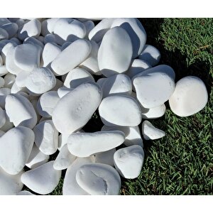 Beyaz Dolomit Taş 6 Kg 2-4 Cm Dere Çakıl Taşı Bahçe Süs Taşı Saksı Teraryum Taşı Akvaryum Taşı