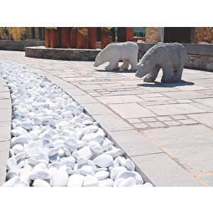 Beyaz Dolomit Taş 10 Kg 2-4 Cm Dere Çakıl Taşı Bahçe Süs Taşı Saksı Teraryum Taşı Akvaryum Taşı