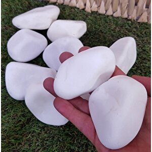 Beyaz Dolomit Taş 2 Kg 2-4 Cm Dere Çakıl Taşı Bahçe Süs Taşı Saksı Teraryum Taşı Akvaryum Taşı