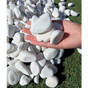 Beyaz Dolomit Taş 7 Kg 2-4 Cm Dere Çakıl Taşı Bahçe Süs Taşı Saksı Teraryum Taşı Akvaryum Taşı
