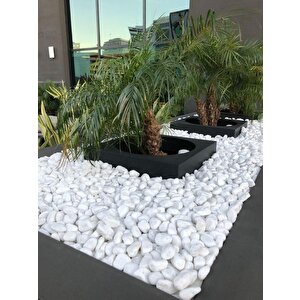 Beyaz Dolomit Taş 7 Kg 2-4 Cm Dere Çakıl Taşı Bahçe Süs Taşı Saksı Teraryum Taşı Akvaryum Taşı