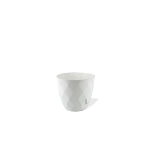 Krs-450 Yakamoz Tabaklı Plastik Saksı Takımı 0.3 Litre No 0 Beyaz
