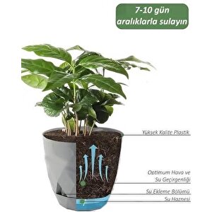 Krs-450 Yakamoz Tabaklı Plastik Saksı Takımı 0.3 Litre No 0 Beyaz