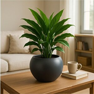 So-kurs1 Dekoratif Modern Yuvarlak Küre Saksı 7.5 Litre No 1 Antrasit