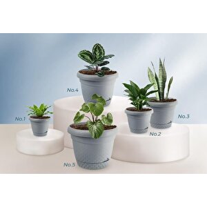 Krs Dekoratif İnci Bitki Çiçek Saksı Takımı 5'li Set Gri