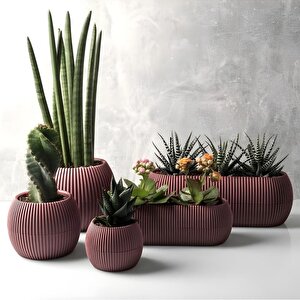 Krs Mercan Dekoratif Sukulent Kaktüs Plastik Saksı Takımı 5'li Set Soft Pembe