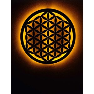 Yaşam Çi̇çeği̇ Led Işıklı Duvar Dekoru Tablo