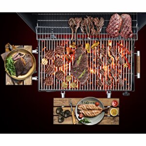 The Favilla Grillord 75 Standlı Taşınabilir Barbekü Mangal-önlük Kılıf Hediye