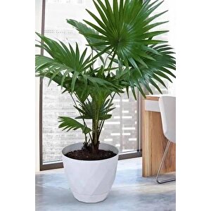 Krs-457 Yakamoz Tabaklı Plastik Saksı Takımı 26 Litre No 7 Beyaz