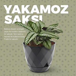 Omnipazar Krs-451 Yakamoz Tabaklı Plastik Saksı Takımı 0.65 Litre No 1