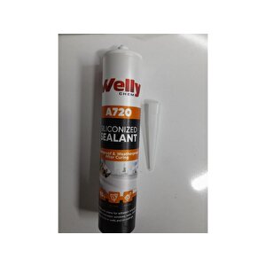 Welly Si̇li̇koni̇ze Masti̇k Beyaz 500gr