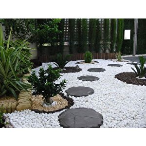 Dolomit Taş 20 Kg 6-10 Cm Beyaz Dolomit Taş Saksı Dibi Dekoratif Taş Bahçe Süsleme Taşı Peyzaj Taşı