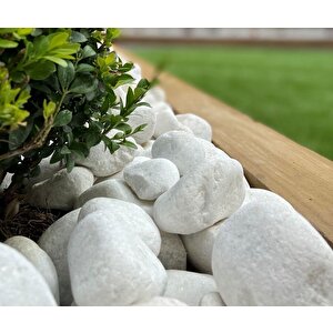 Dolomit Taş 25 Kg 6-10 Cm Beyaz Dolomit Taş Saksı Dibi Dekoratif Taş Bahçe Süsleme Taşı Peyzaj Taşı