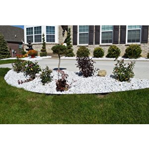 Dolomit Taş 25 Kg 6-10 Cm Beyaz Dolomit Taş Saksı Dibi Dekoratif Taş Bahçe Süsleme Taşı Peyzaj Taşı