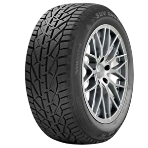 Ri̇ken 195/55r16 87h Snow 2024 Üreti̇m Kişlik Lasti̇k