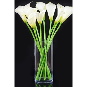 Silindir Cam Vazo Yükseklik : 23 Cm Genişlik 9 Cm