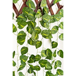 Yapay Sarmaşık 12'li Uzunluk 2 Metre 40 Cm