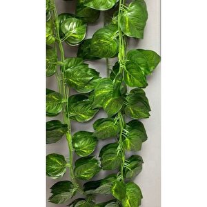 Yapay Sarmaşık 12'li Uzunluk 2 Metre 40 Cm